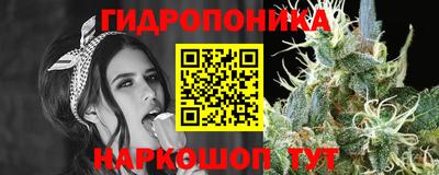 ешки Рязань